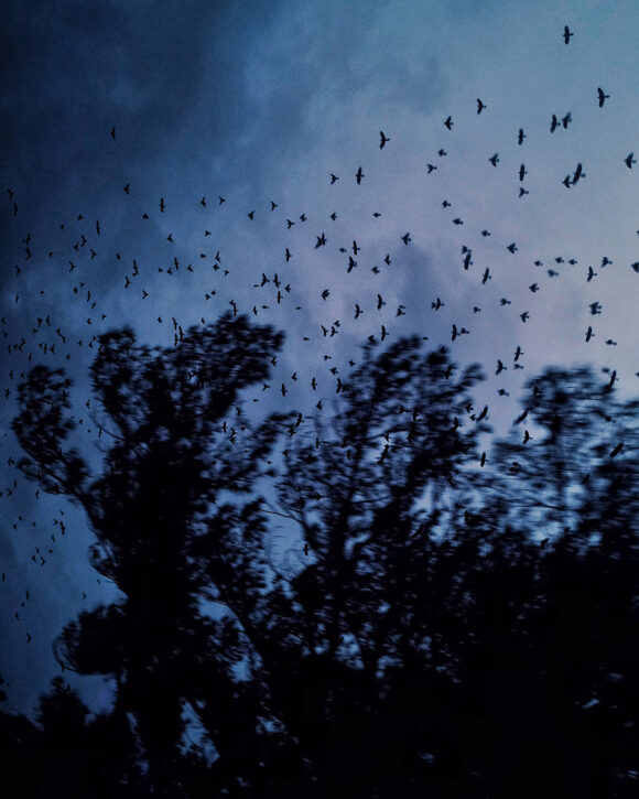© Devin Lunsford