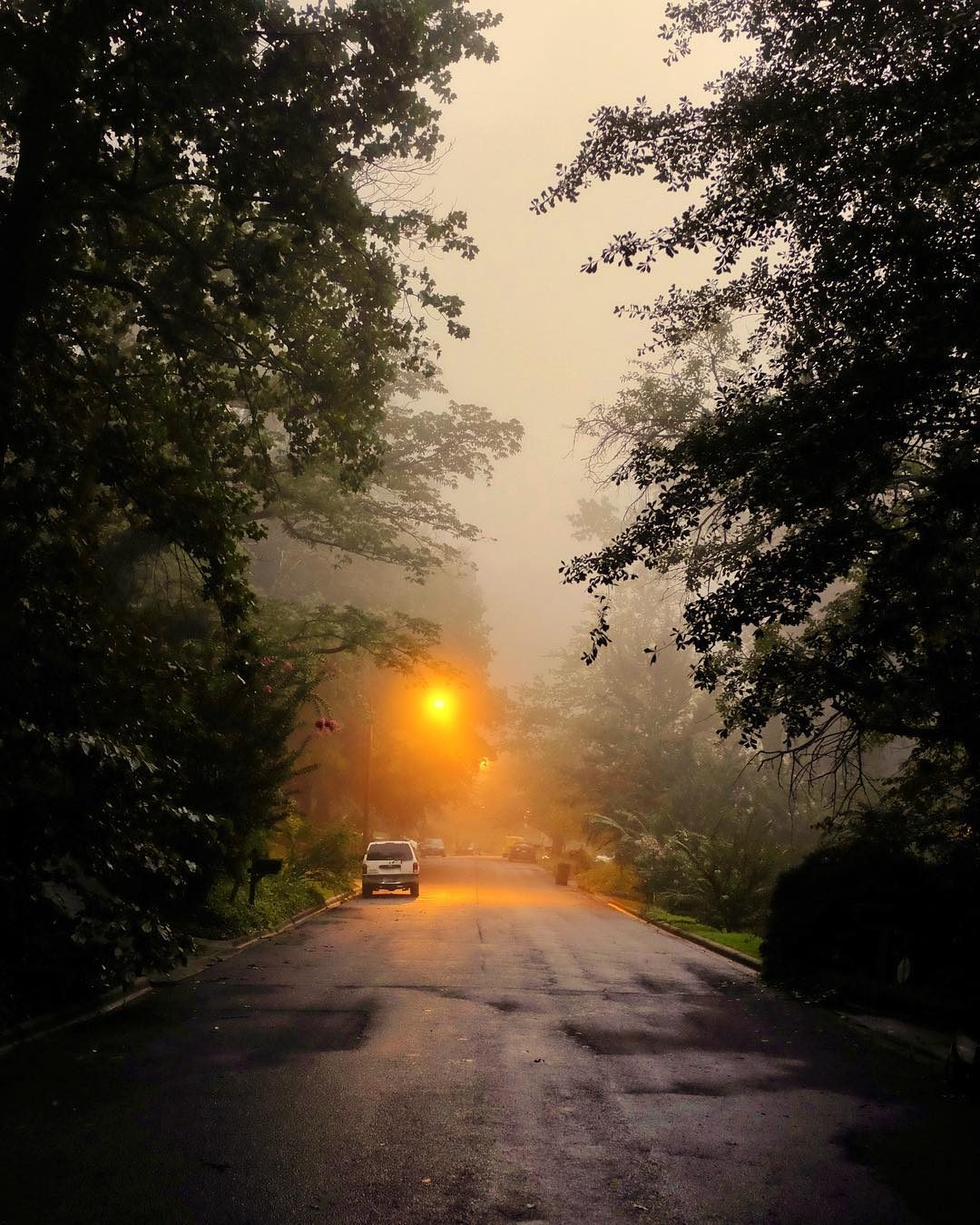 © Devin Lunsford / Instagram