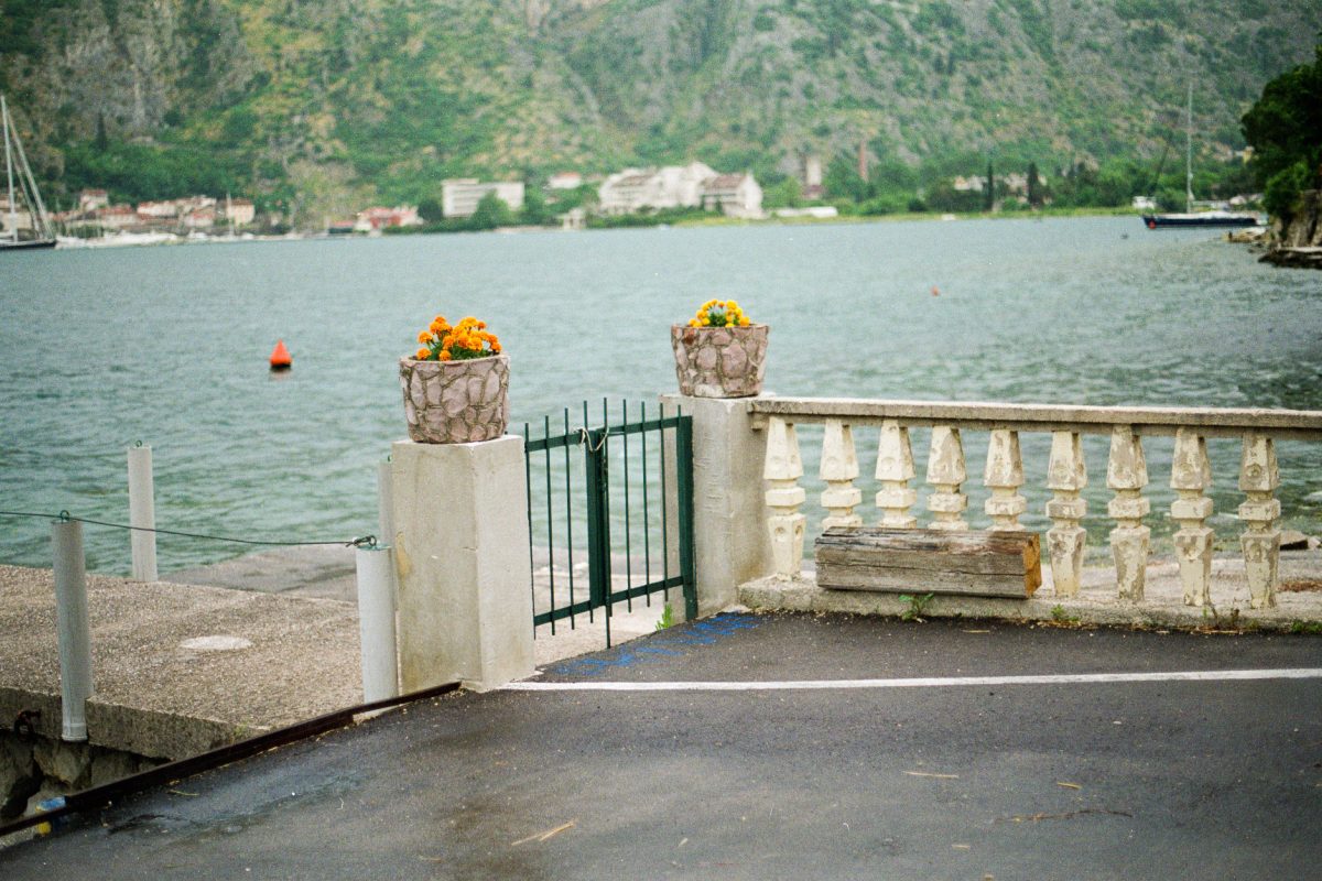 © Ali Bosworth