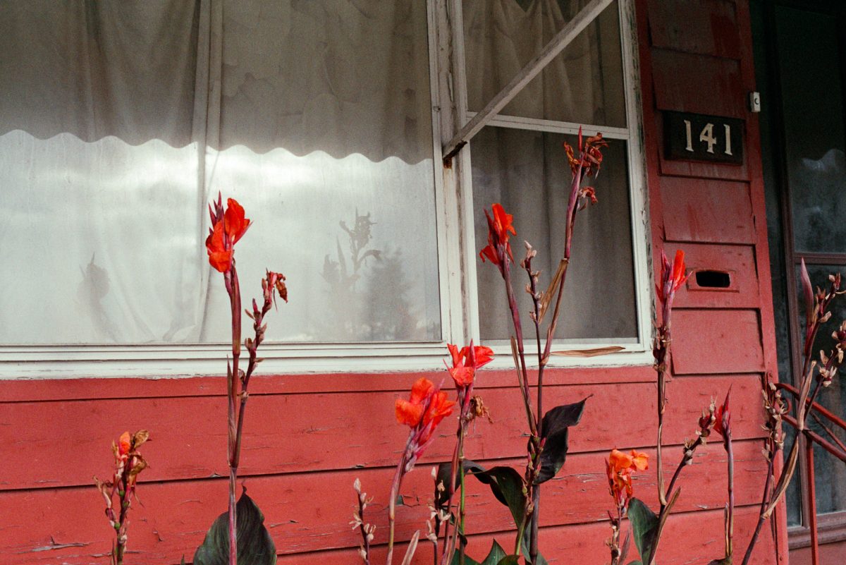 © Ali Bosworth