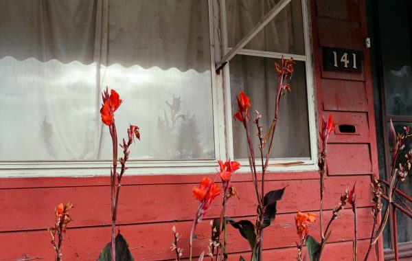 © Ali Bosworth