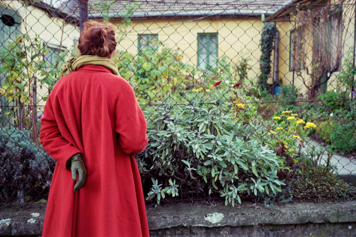 © Ali Bosworth