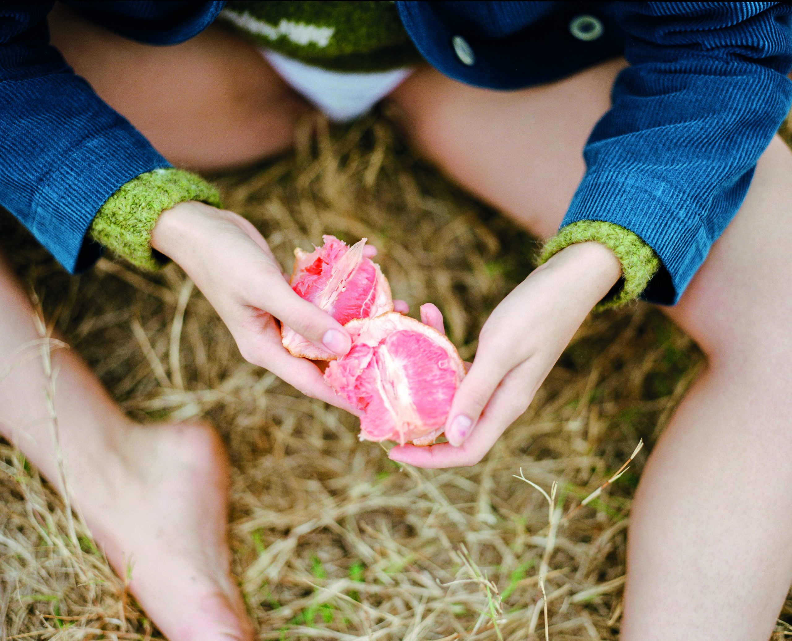 Grapefruit, extrait de la série Infinite Tenderness © Peyton Fulford