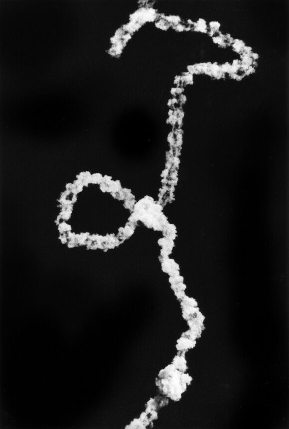 Renato D'Agostin_7439_White Sands Missile Range, New Mexico_Courtesy Galerie Thierry Bigaignon