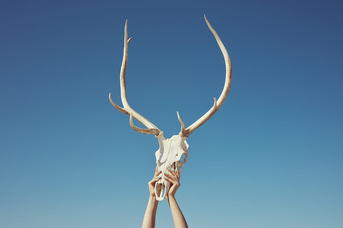 "Sorry, No Vacancy" © Kourtney Roy
