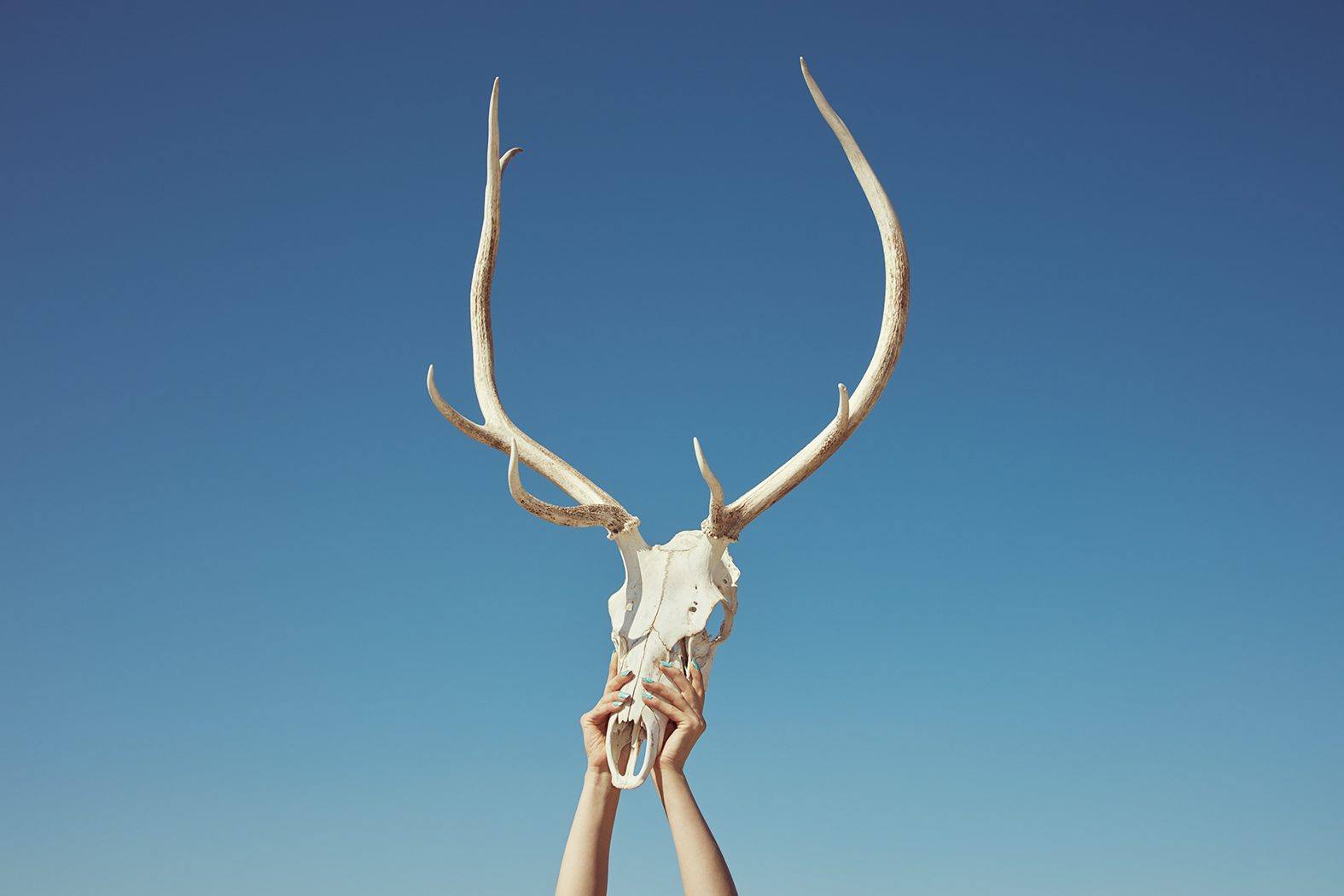 Sorry, No Vacancy © Kourtney Roy