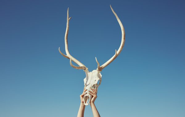 Sorry, No Vacancy © Kourtney Roy