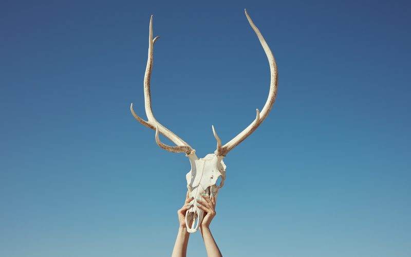 Sorry, No Vacancy © Kourtney Roy