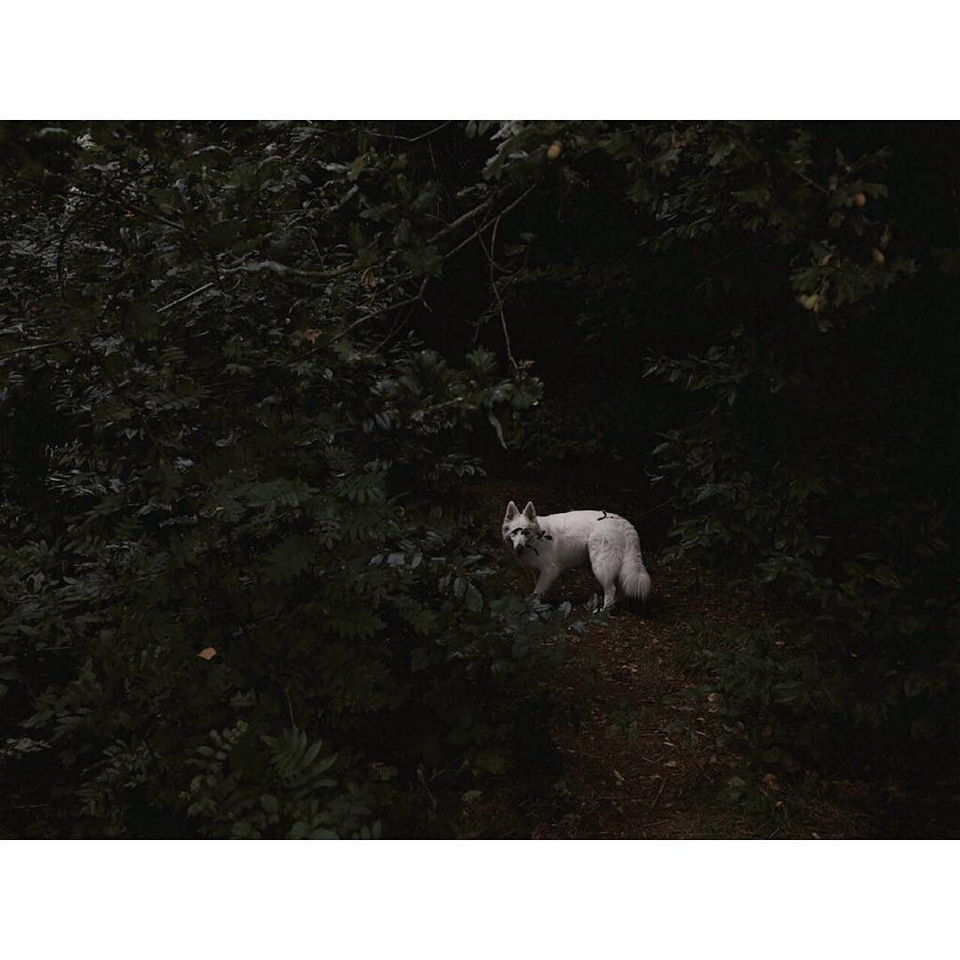 frankxbosman-insta-fisheyelemag