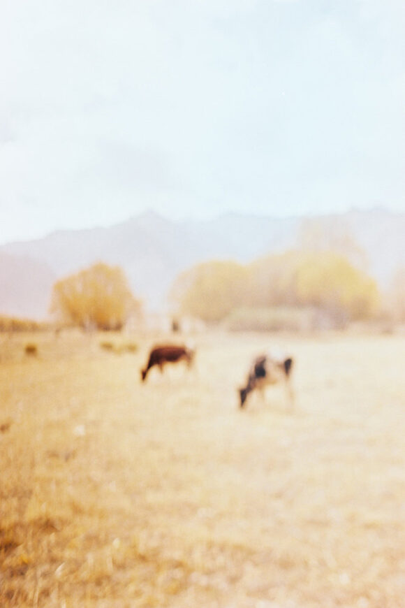 The Land Between Us