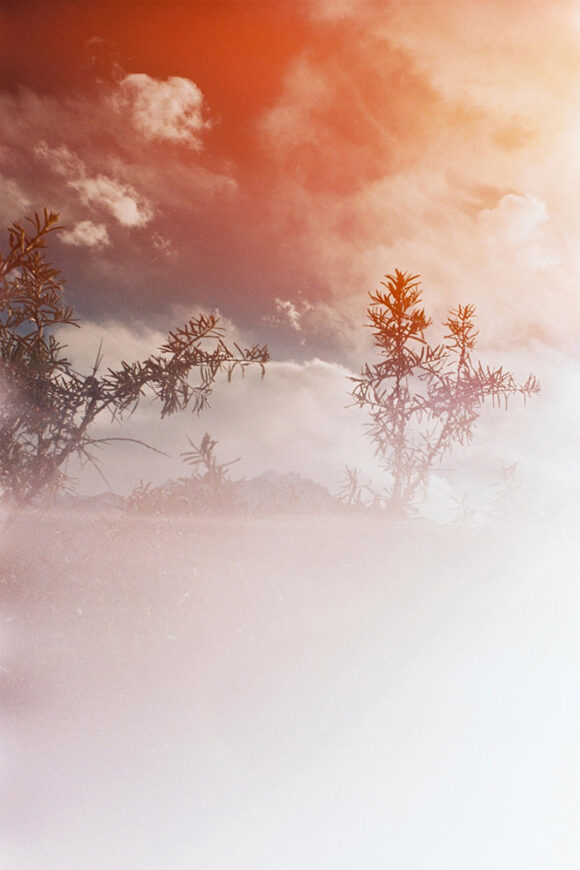 The Land Between Us