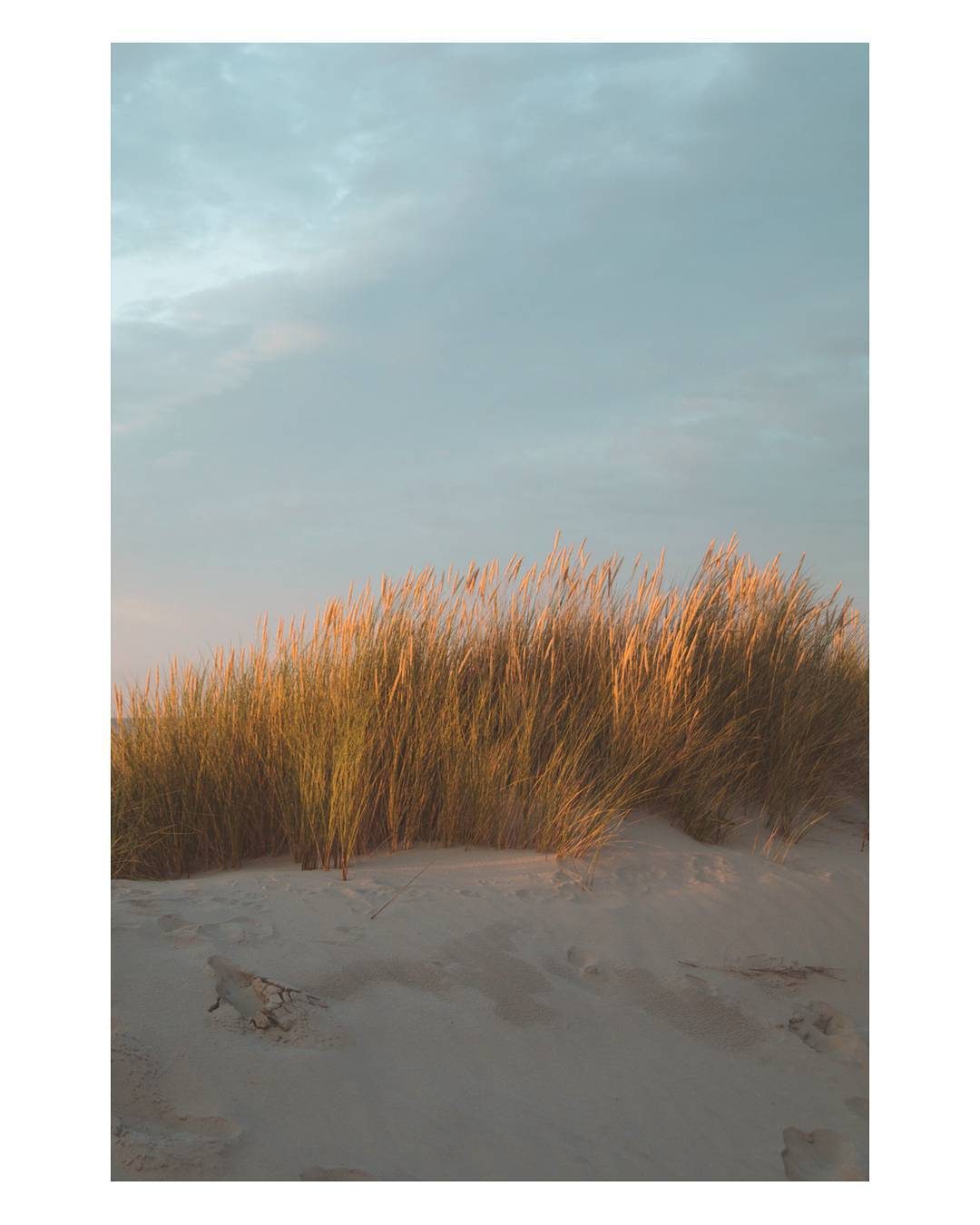 © Wouter van der Weerd / Instagram