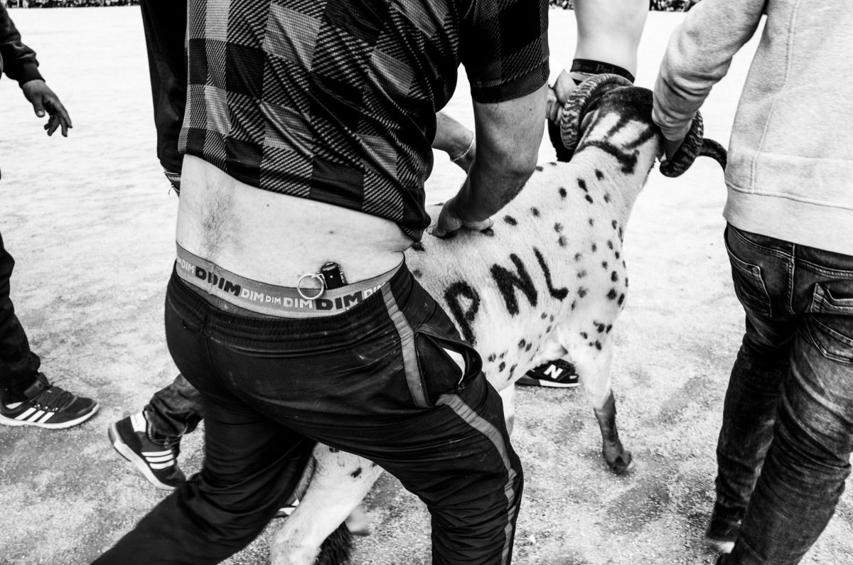© Youcef Krache / collective220