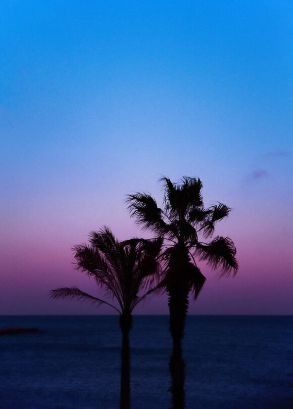 © Griselda Duch