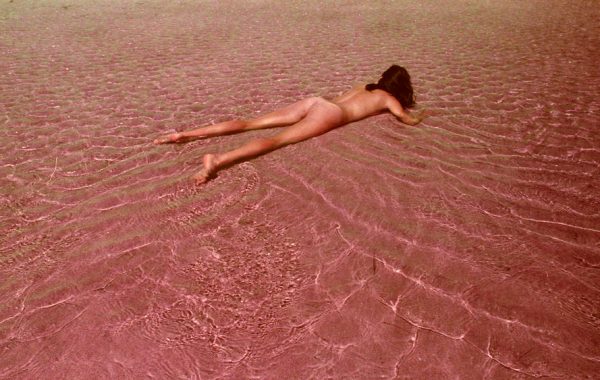 © Brandy Eve Allen