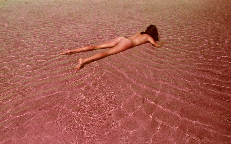 © Brandy Eve Allen