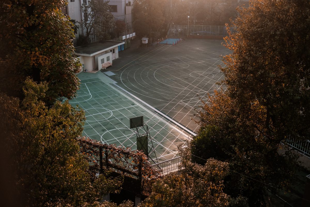 © Manol Valtchanov
