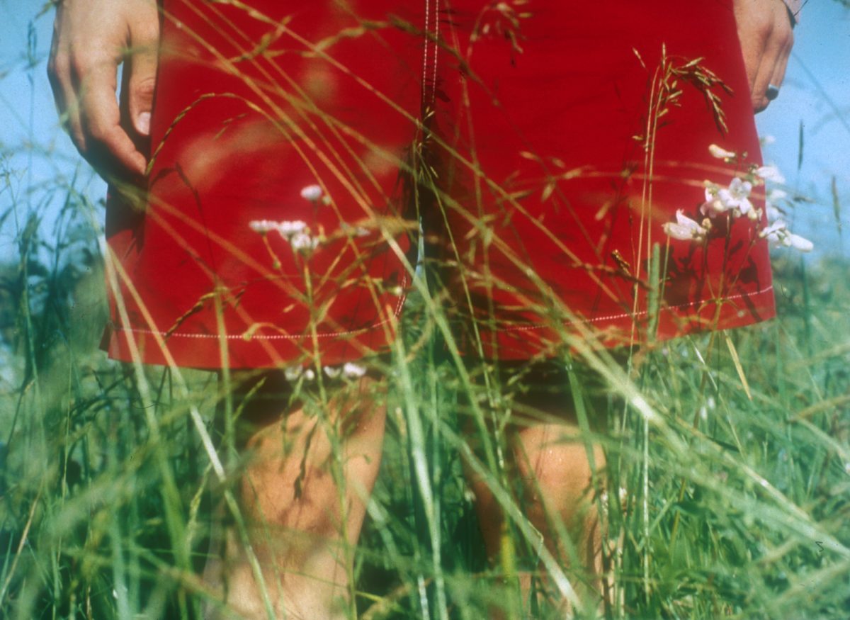 © Holly Lynton