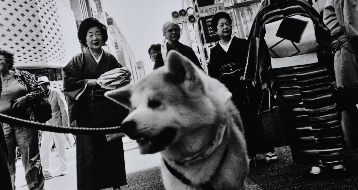 © Keizo Motoda
