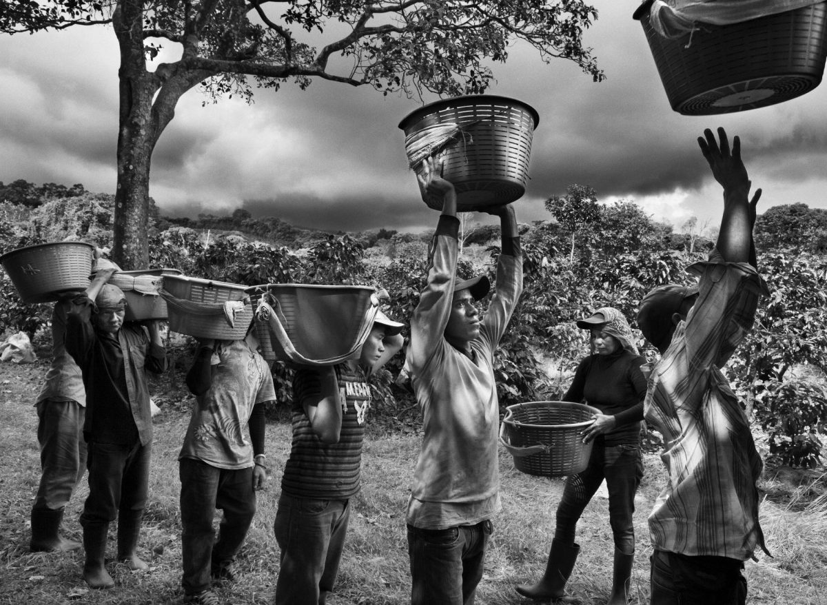 © Sebastião Salgado