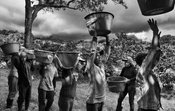 © Sebastião Salgado