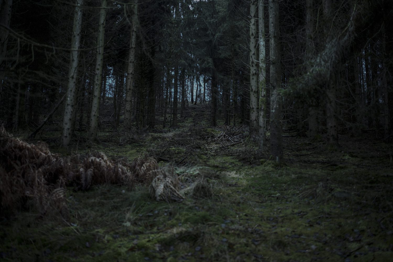 From Zukunft © Sarah Pabst
