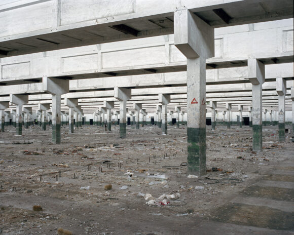 Part Three- From Habitats © Yuanling Wang