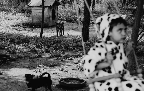 From The Playground © Felicia Simion