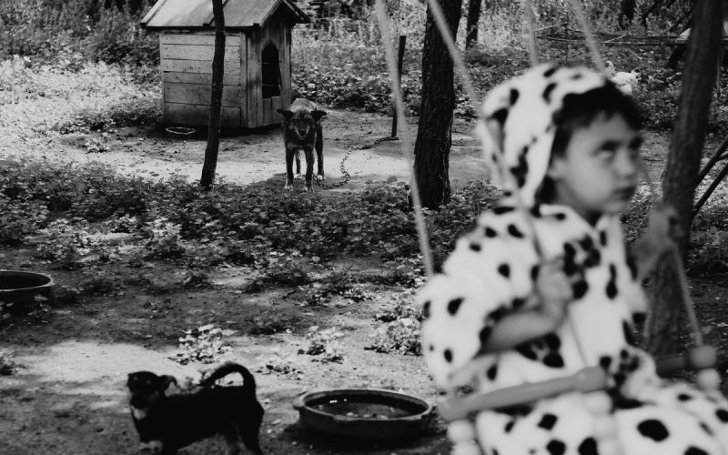 From The Playground © Felicia Simion