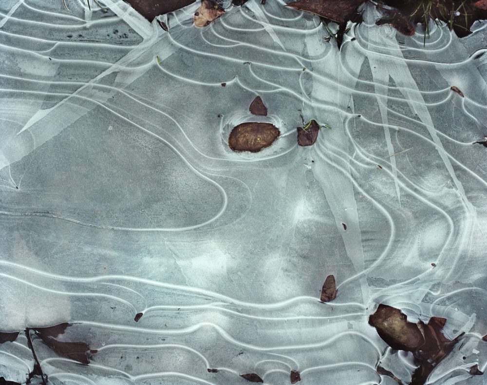 "Frozen Pond" From "Beast by the Waterfall Guesthouse" © Wenxin Zhang