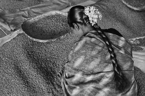 © Sebastião Salgado / Amazonas images.