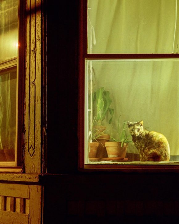 © Patrick McCormack 