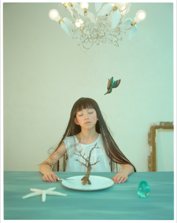 Dream of a bird © Haruri Fuji