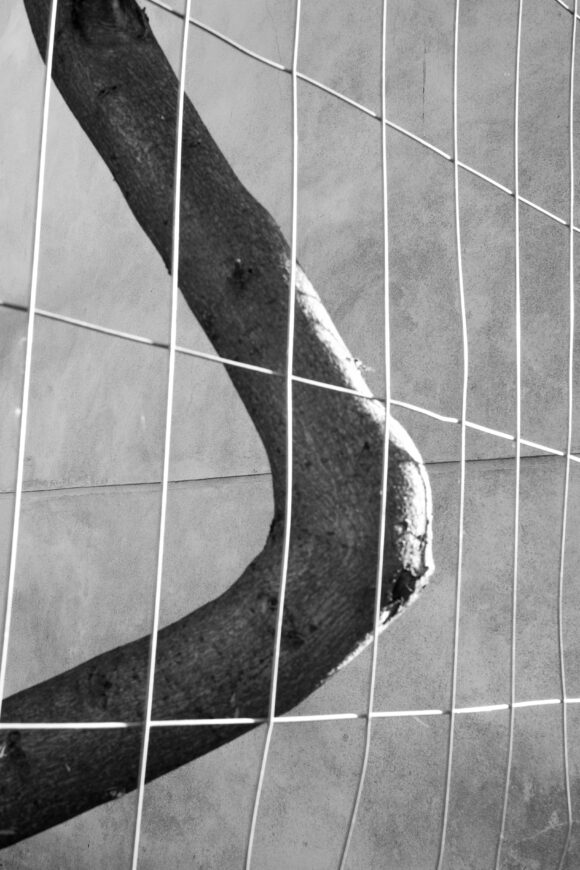 © Eglantine Lavogez