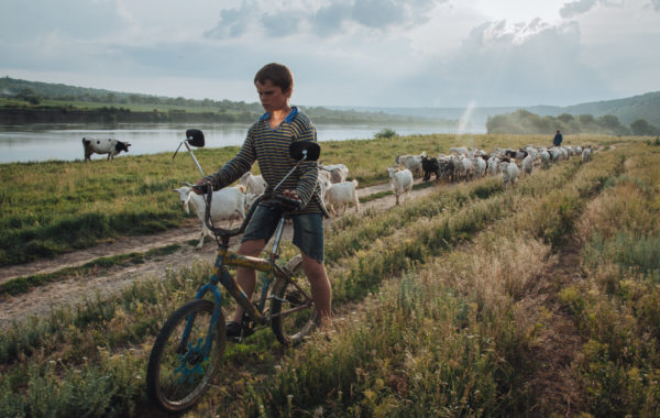 © Anton Polyakov