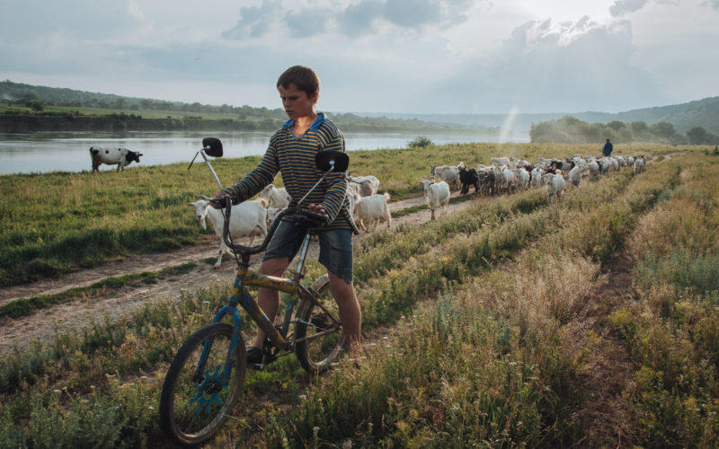 © Anton Polyakov