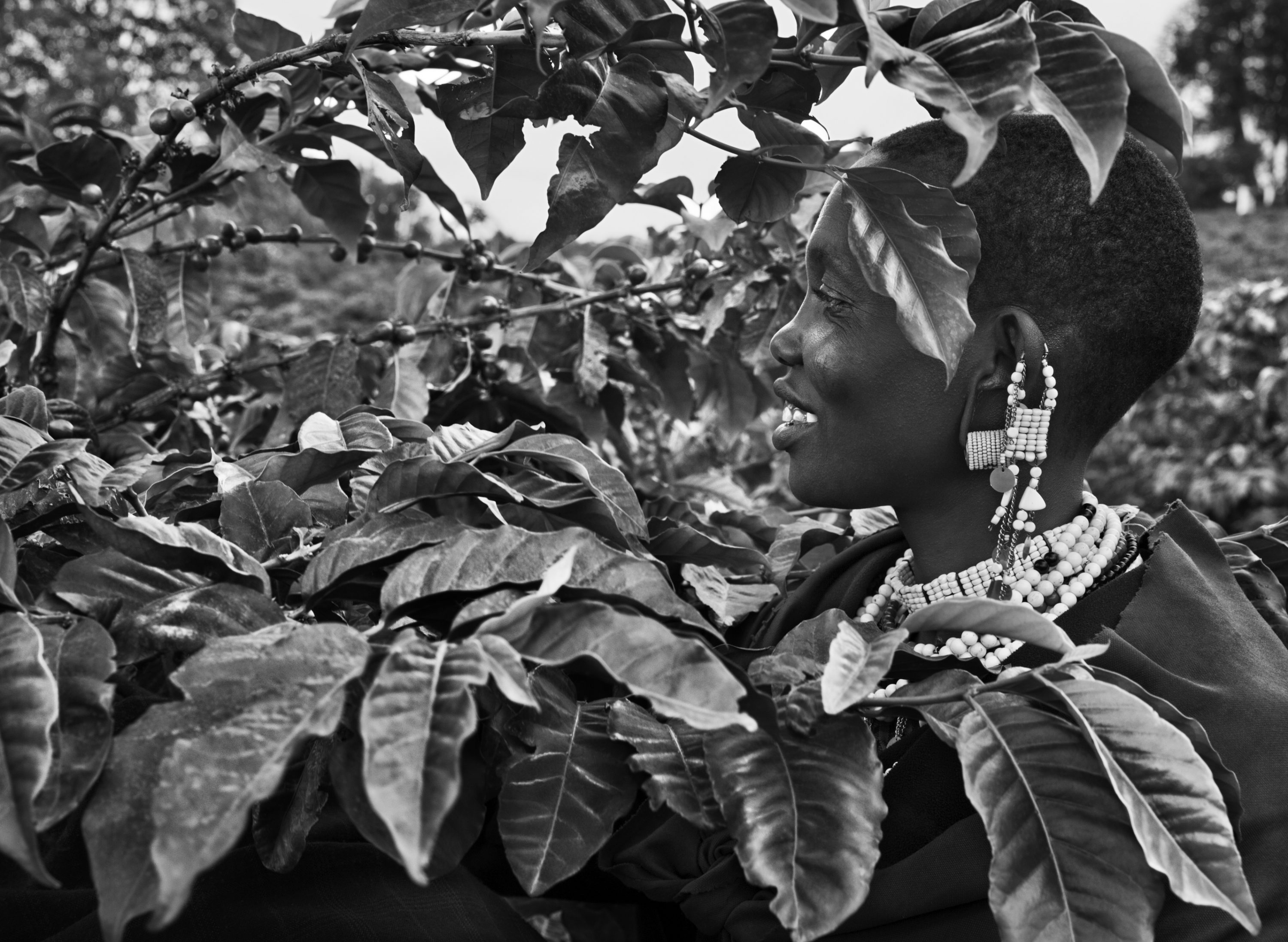 © Sebastião Salgado