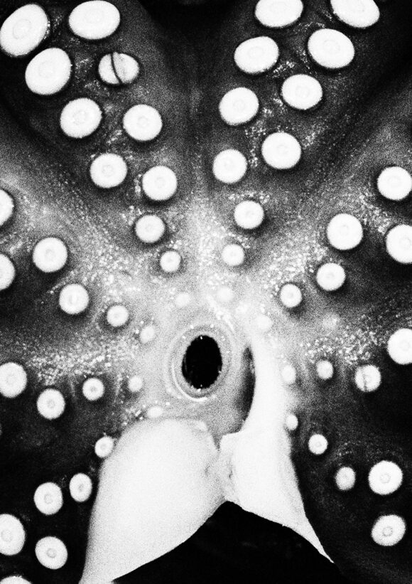 © Nyima Marin