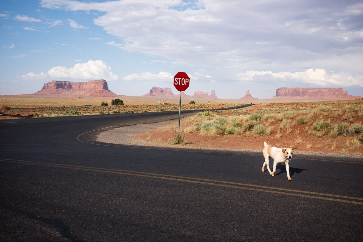 © Philippe Blayo