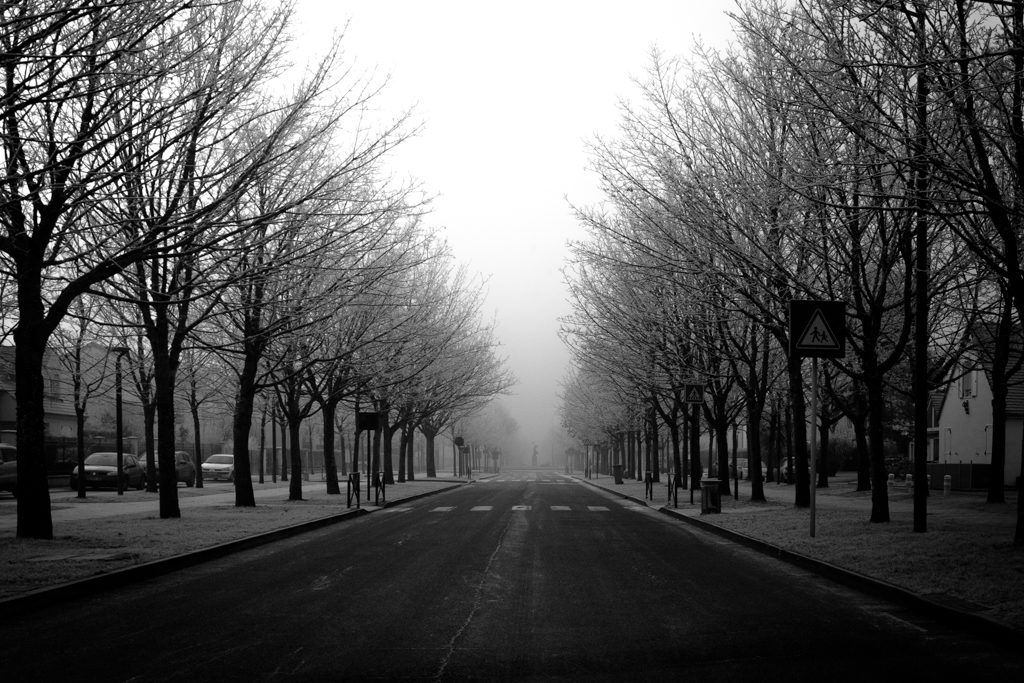 #Terre de Banlieue © Pascal Riviere