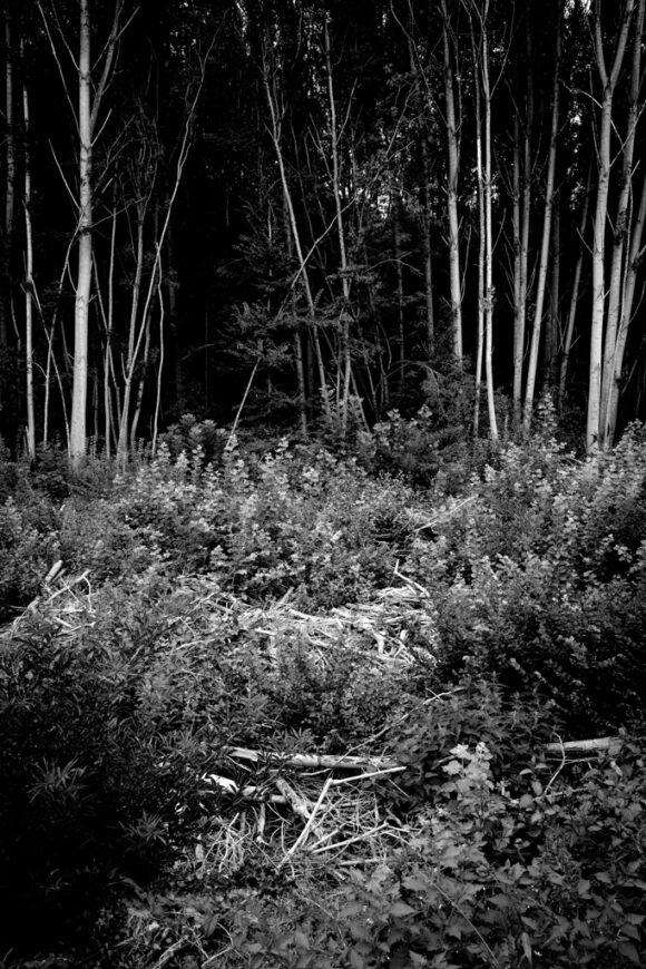 #Terre de Banlieue © Pascal Riviere