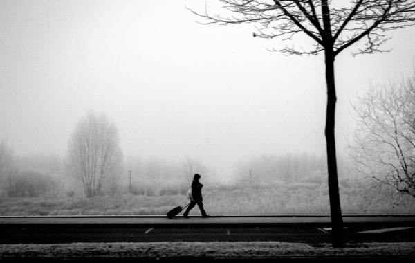#Terre de Banlieue © Pascal Riviere