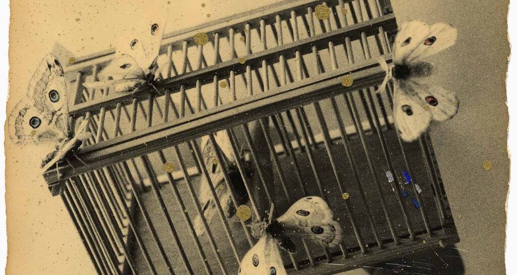 © Masao Yamamoto