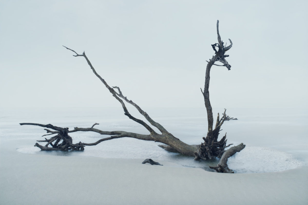 © Petros Koublis