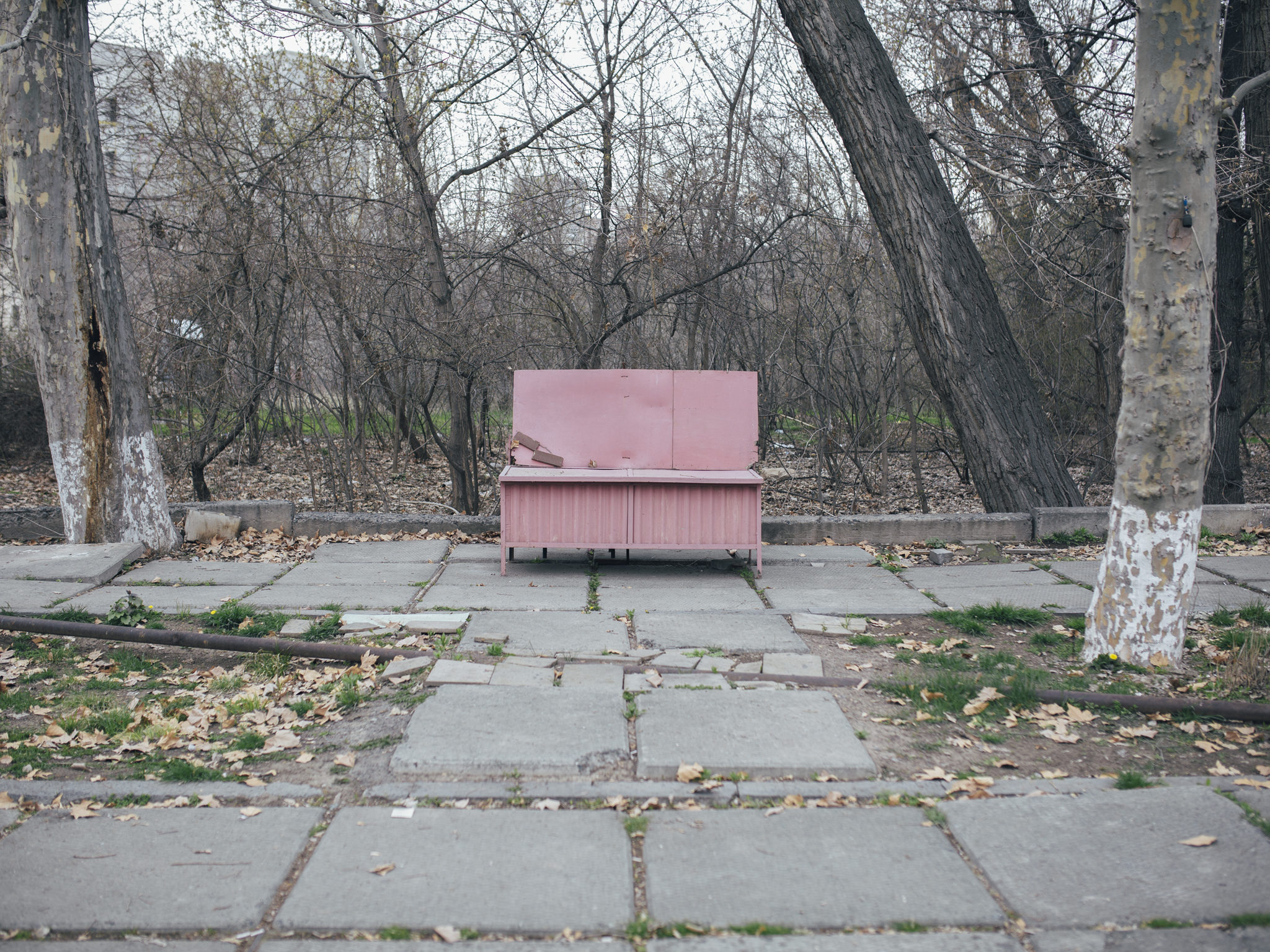 © Martin Holík