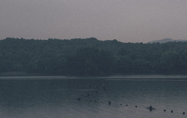 © Pascale Arnaud