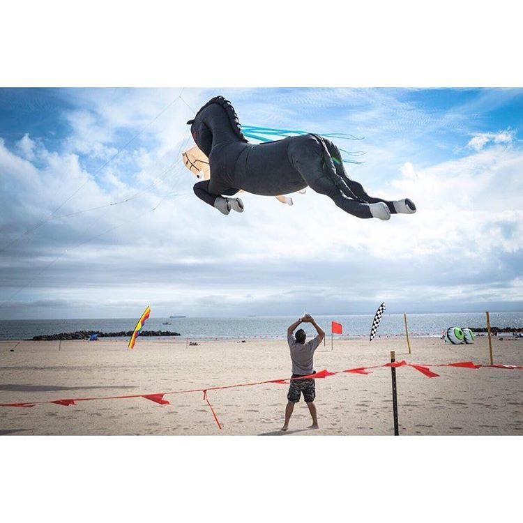 Cedric Roux- Instagram-FE