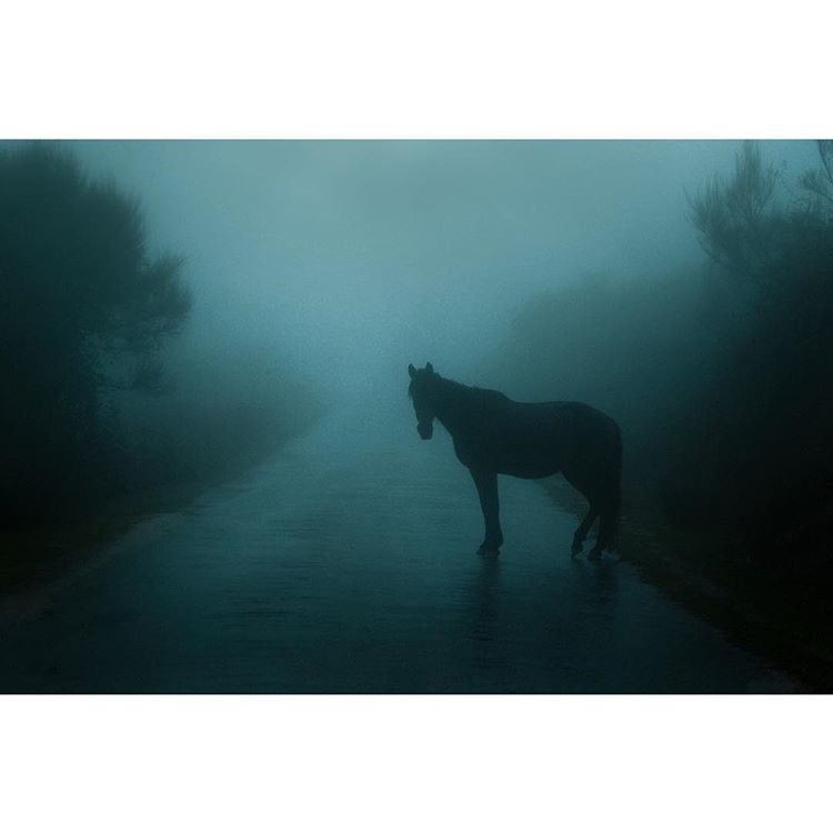 © Henri Prestes / Instagram 
