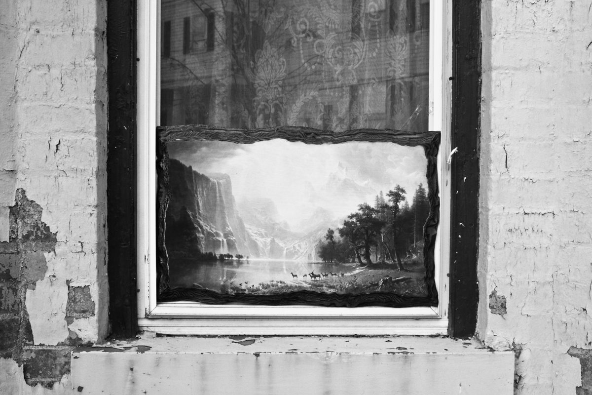 © Caleb Stein