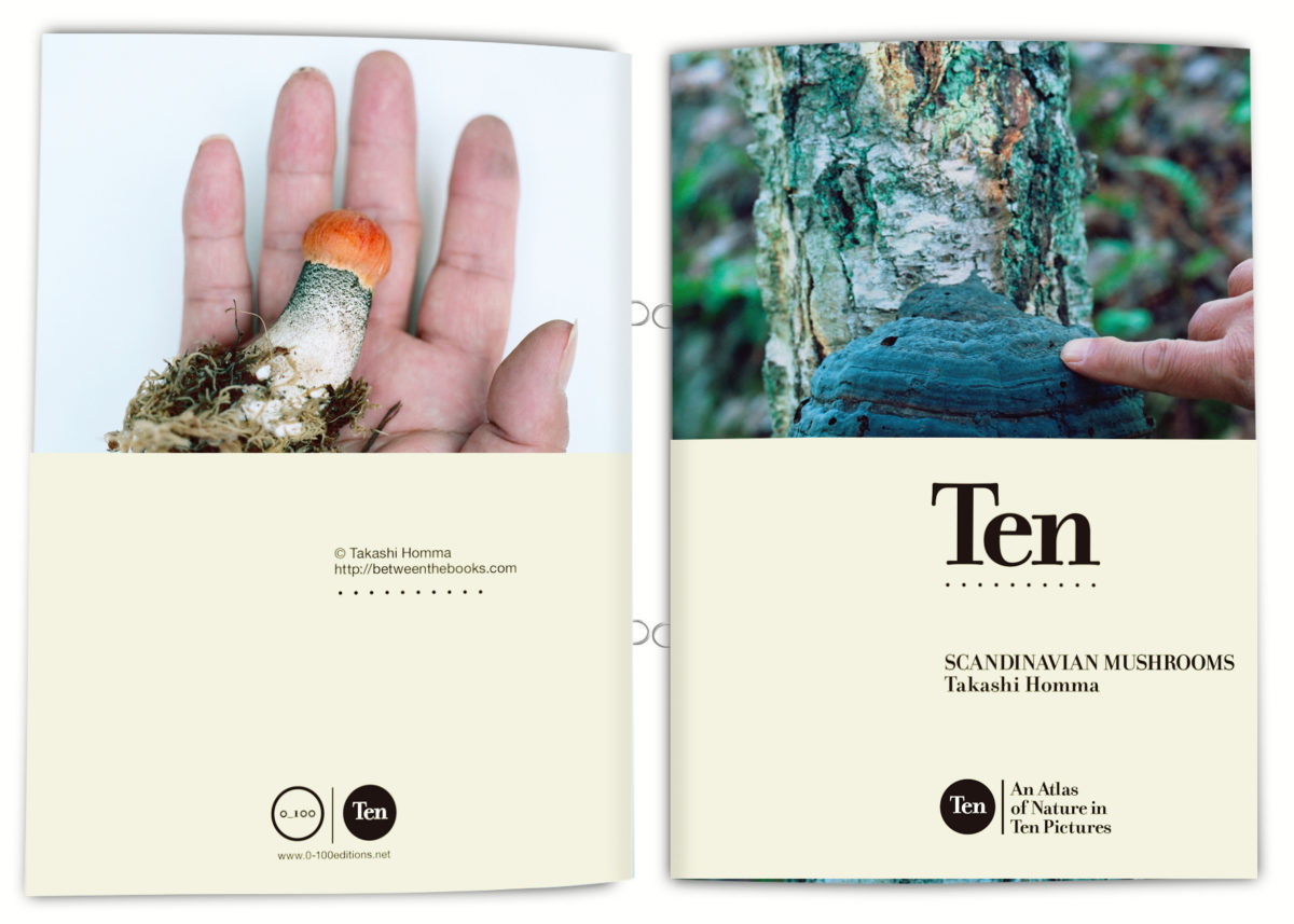 From "Ten Scandinavian Mushrooms" © T. Homma